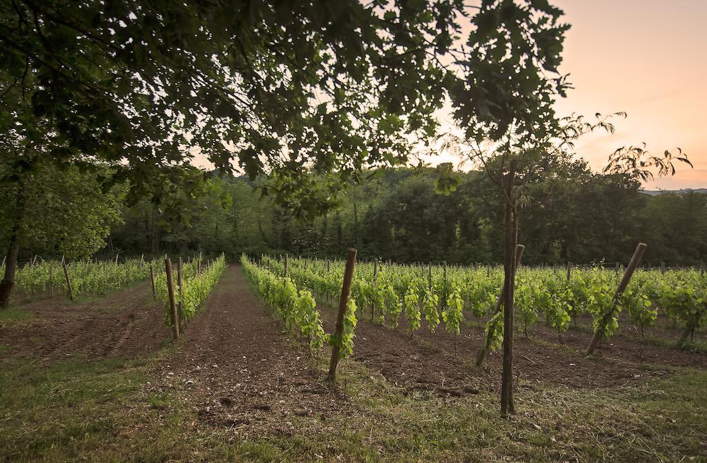 La Pampa Relais & Spa Melizzano Εξωτερικό φωτογραφία