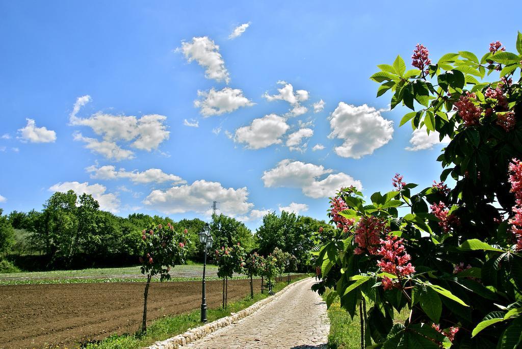 La Pampa Relais & Spa Melizzano Εξωτερικό φωτογραφία